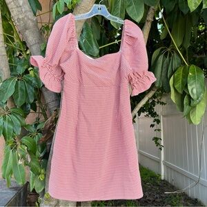 NWT Francesca’s Blue Rain Gingham Mini Dress.